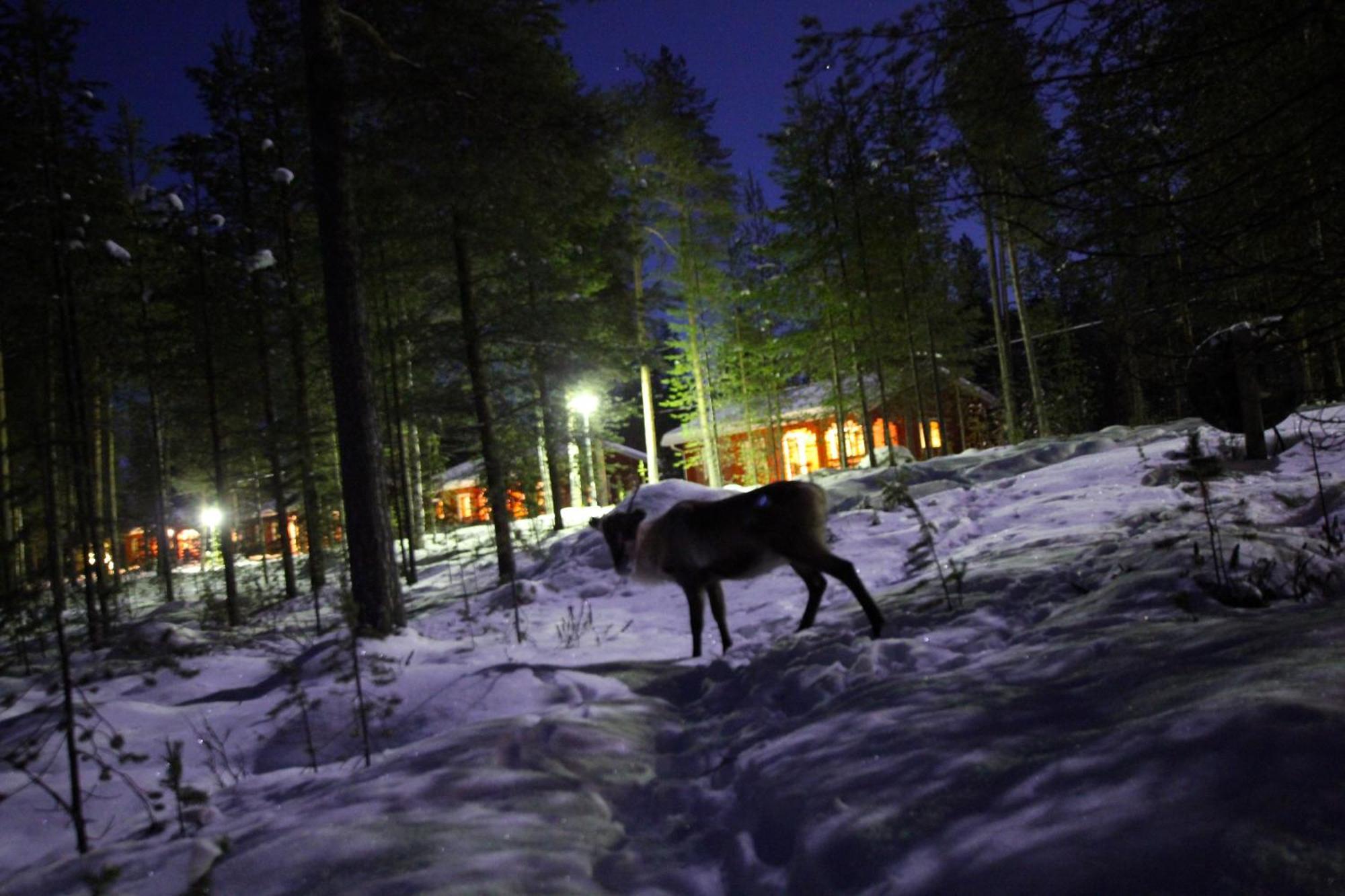 Ukonjarven Holiday Village Ivalo Exterior foto